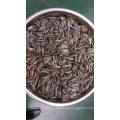 High Quality of New Crop Sunflower Seeds From Neimongol